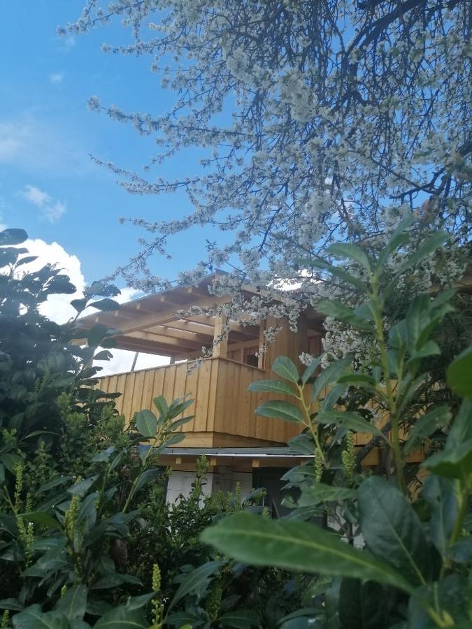 Appartement Seppi Innsbruck Eksteriør billede