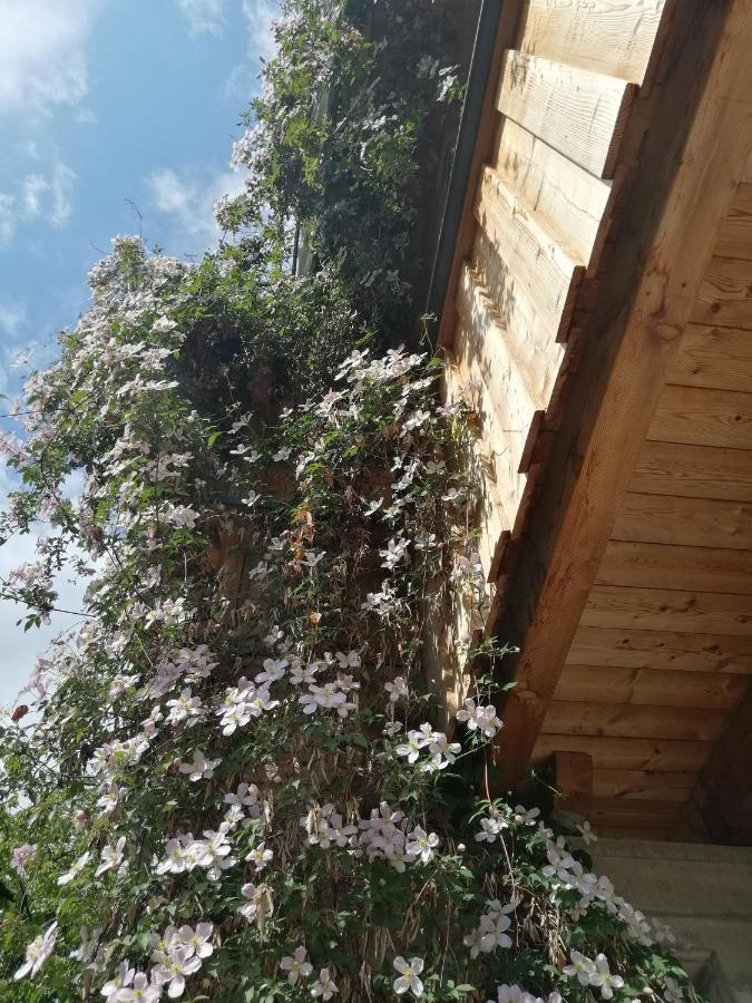 Appartement Seppi Innsbruck Eksteriør billede