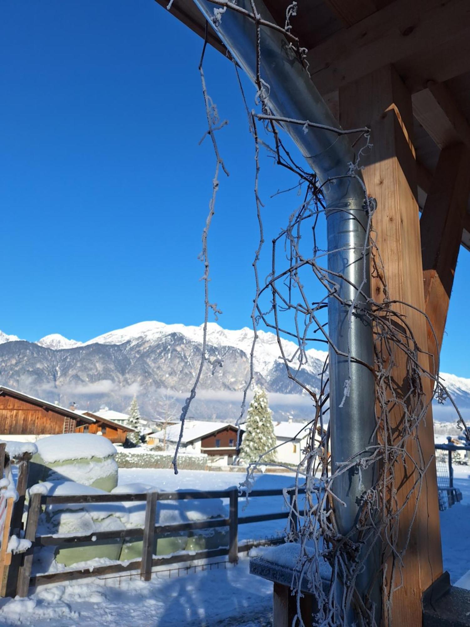 Appartement Seppi Innsbruck Eksteriør billede